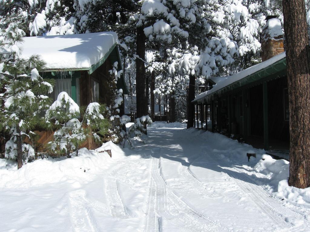 Timberlodge Inn Pinetop-Lakeside Rum bild
