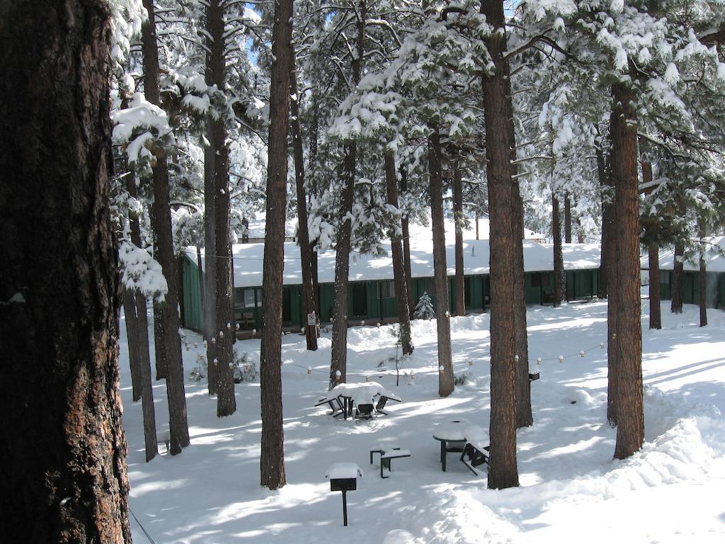 Timberlodge Inn Pinetop-Lakeside Rum bild